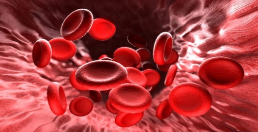 Названо 4 продукти, які допомагають швидко розріджувати кров – AgroNews